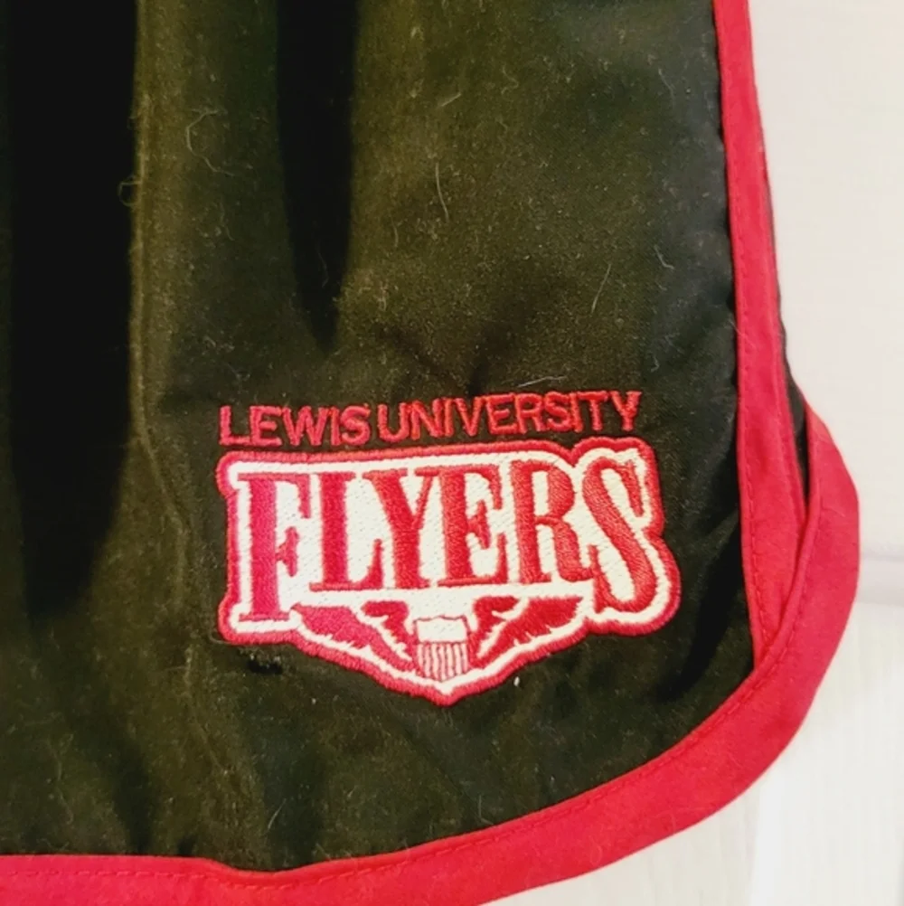 Lewis University Flyers Adidas Small Running shorts